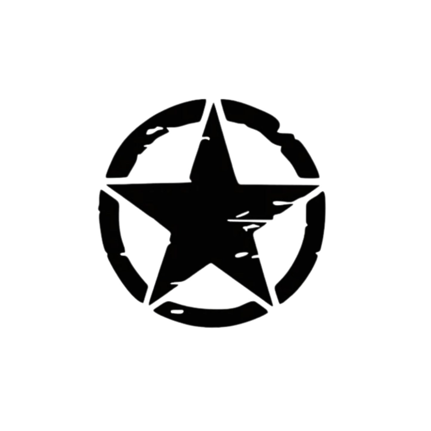 The Veteran
